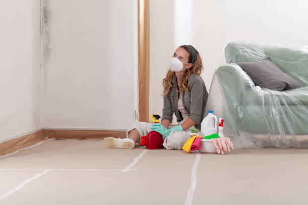 Reliable Mold Remediation contractor in Spring Hill, FL by Mold Remediation HQ